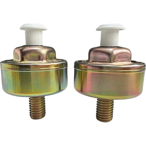 Capteur de cliquetis avant 10456018 (réf. 10456288) pour Chevrolet Blazer (1987-1994) et Lexus SC430 (2002-2008) (réf. 1997699, lot de 2). (1/5)