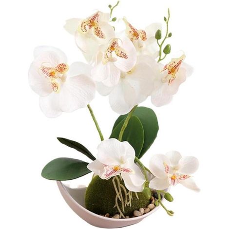 Künstliche Orchideenblüten mit weißem Topf - Phalaenopsis-Blume Kunststoff (1/5)