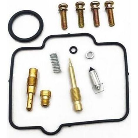 Compatible avec les modèles XR650R de 2000 à 2006. (1/5)