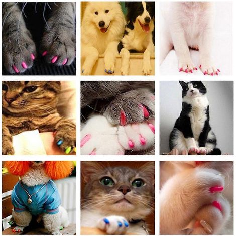 Lot de 20 protège-griffes colorés et tendance pour chats et chiens, souples et verts. (1/4)
