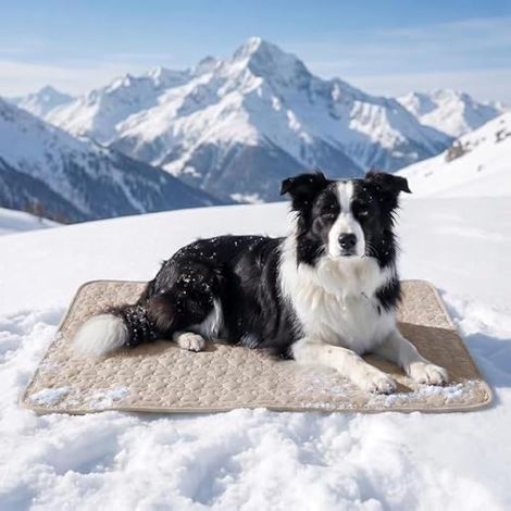 Tapis de refroidissement pour animaux de compagnie - En soie glacée - Lavable - 100 x 70 cm - Tapis d'été pour animaux - Refroidissement efficace - Confort de repos, soutien pour le sommeil (1/5)