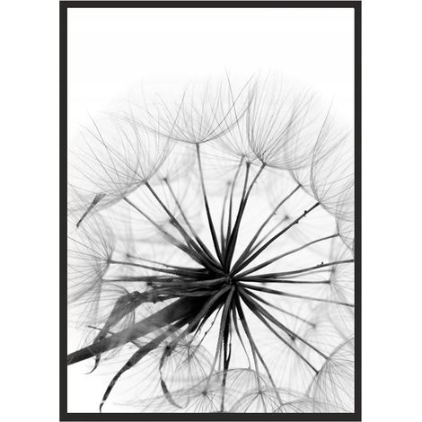CUADRO, PÓSTER ENMARCADO 73x53 cm Diente de león P505 (1/4)