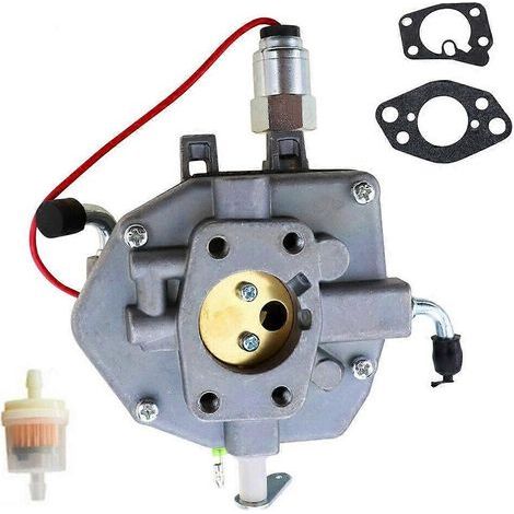 Ensemble carburateur pour démarreurs Briggs & Stratton 303447. antirouille. accessoires pour démarreurs (1/5)