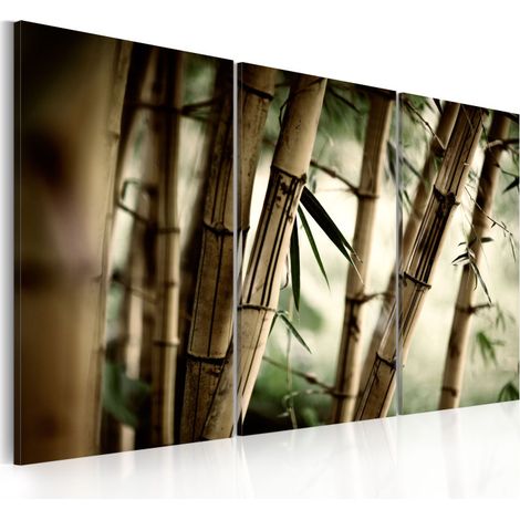 Tableau Imprimé "Forêt Tropicale" 60 x 90 cm (1/2)