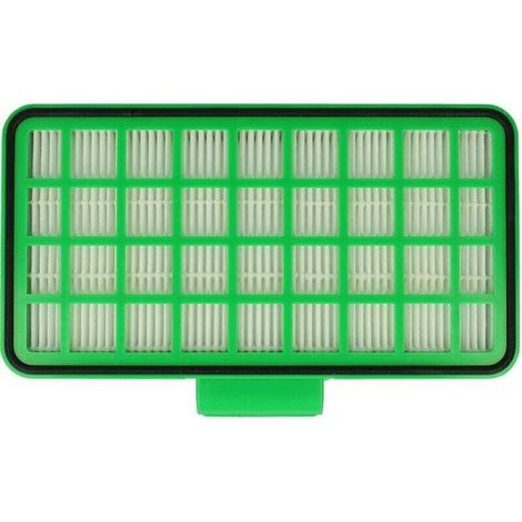 Filtre compatible avec les aspirateurs cycloniques Rowenta Silent Force Extreme RO8213EA/410 et RO8213EA/411 - Filtre HEPA