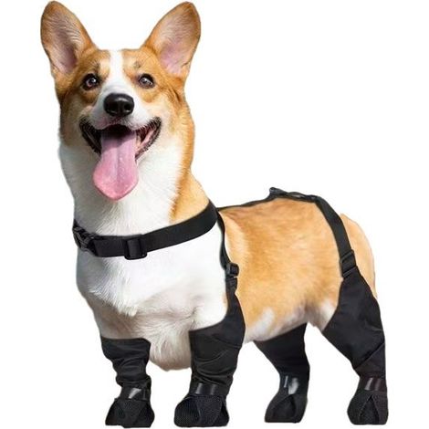 Hundeschuhe – Hundestiefel mit Hosenträgern – Rutschfeste, stoßfeste und wasserdichte Hundeschuhe – Hundeleggings – Pfotenschutz für kleine Hunde (1/2)