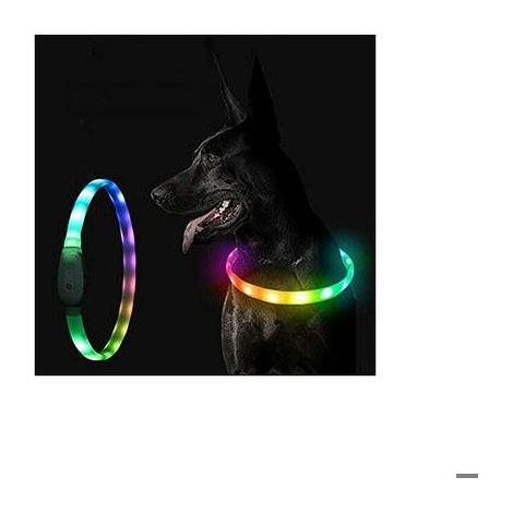 Collier de sécurité pour Chien à LED, Rechargeable par USB,Un col, Plusieurs Couleurs ,Longueur réglable, Petits, (1/5)