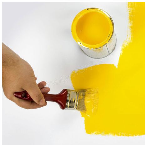 PAINTSET : Set de 5 Pinceaux Synthétiques Plats pour Peintures à Base d'Eau (1/5)