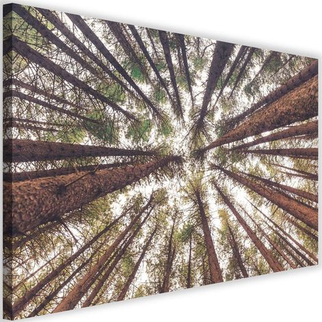 Tableau décoratif Pin Nature Forêt Verte 60x40 (1/5)