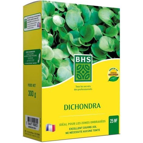 bhs Dichondra graines 300 g pour jardin ombragé