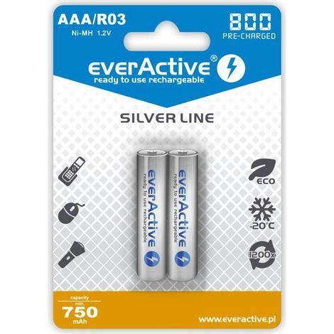 Pack de 2 batteries Téléphone fixe pour DIVERS AAA (1/2)