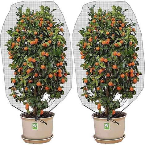 (140X100CM) 2 paquets de filet de barrière contre les insectes et les oiseaux avec cordon de serrage filet anti-insectes de jardin couverture végétale pour protéger les plantes, les Fruits et les fleu (1/5)