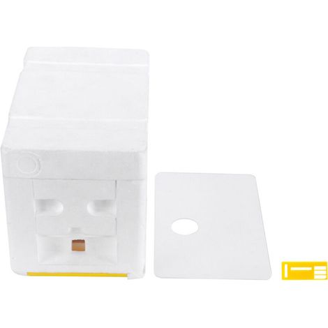 Mini ruche pour l'élevage de reines, corps de fécondation, pollinisation, matériel apicole en mousse haute densité - AquaForge (1/5)