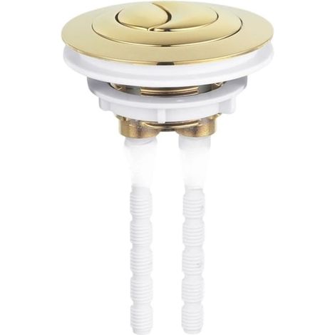 Bouton de chasse d'eau double conçu (1/5)