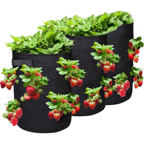 CSPARKV 3 bolsas impermeables para plantar en el jardín, bolsa de cultivo, bolsa de tela no tejida para fresas, flores y tomates, transpirable, permeable al aire, 10 unidades con asas y ventana, 35 x (1/5)