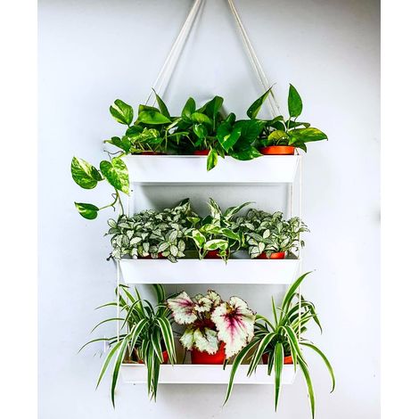 Jardinière murale suspendue – 40,6 cm à trois niveaux pour plantes succulentes d'intérieur – Pot de fleurs moderne bohème en métal blanc – Support mural pour plantes décoratives verticales (1/5)