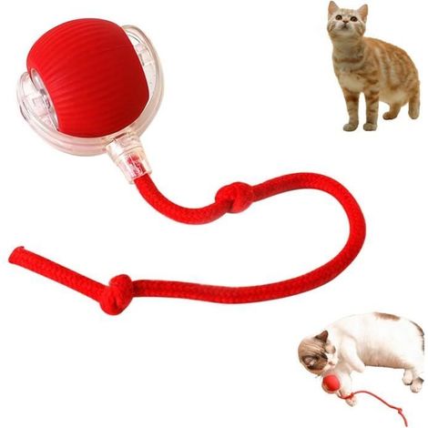 Balle Interactive pour Chat,Pet Smart Rolling Ball,Indoor Cat Toys,3 Modes de Travail,Rechargeable par USB ,Rouge (1/4)