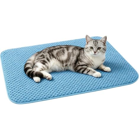 Tapis Rafraîchissant pour Chien - Coussin Imperméable Lavable Antidérapant,Coussin d'Été pour Animal,pour Caisse Voiture Canapé Sol Lit Été Extérieur Voyage Intérieur (1/5)