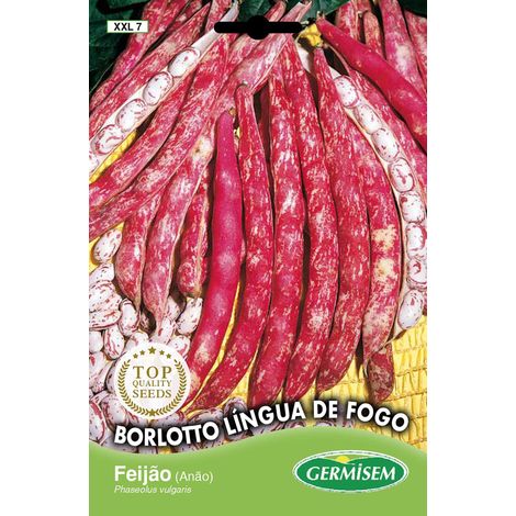 Borlotto Lingua de Fogo Graines de Haricots Français 100 g (1/2)