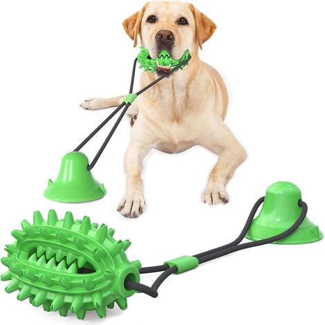 Jouets à mâcher pour chiens, jouet à ventouse pour chiens, jouet multifonction pour le nettoyage des molaires et les soins dentaires des chiens (petits chiens). (1/5)