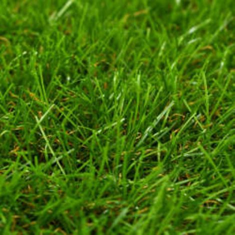 Maison Exclusive - Gazon artificiel 1x15 m/40 mm Vert (1/3)