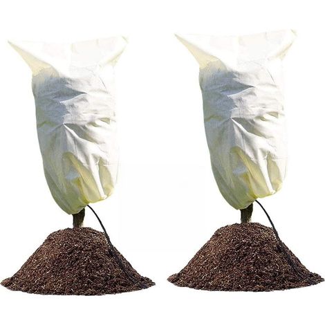 Lot de 2 voiles d'hivernage 100 x 80 cm – Housse de protection pour plantes en pot contre le froid et le gel (60 g/m²) – Pour oliviers, palmiers, citronniers et arbustes (1/5)