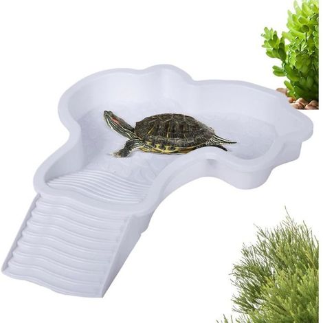 Bassin pour Tortue Terrestre - Avec Rampe et Échelle Bol d'eau pour Reptiles - Terrasse (1/5)