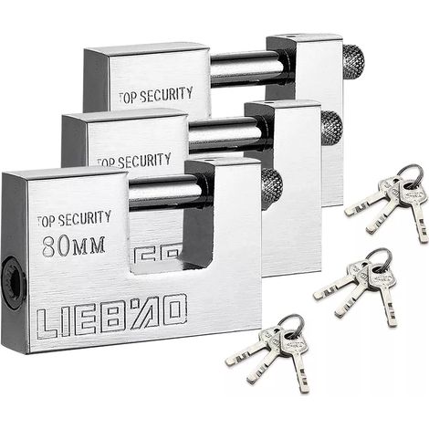 Lot de 3 Cadenas en Acier Inoxydable 80mm, Résistants à l'Eau, pour Portail, Garage et Hangar(Troisième trimestre : septembre) (1/5)