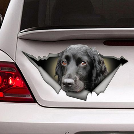 Autocollants personnalisés pour voiture, voiture, voiture, chien, animal de compagnie, autocollant imperméable, autocollant accrocheur pour vitre cassée, mur, ordinateur portable (1/5)