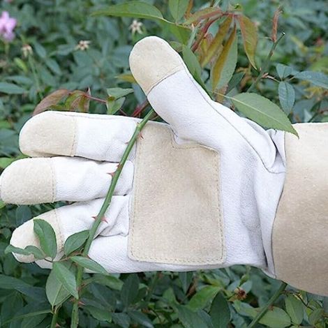 Gants de jardinage longs en cuir de porc résistants et anti-perforation (taille M) (1/4)