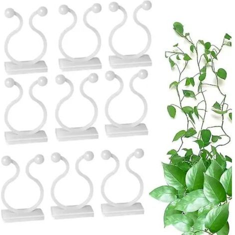 100 clips de support pour plantes grimpantes, crochets adhésifs, fixations murales pour plantes grimpantes, pour plantes de jardin, câble de fixation pour bureau (1/5)