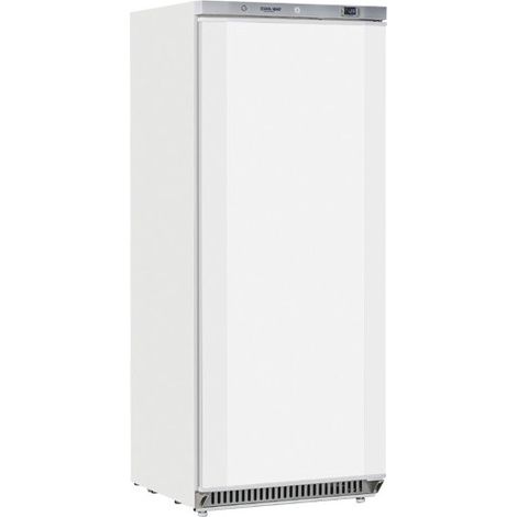 Armoire réfrigérée négative 600L avec thermostat numérique 6 étagères R290 -23°C à -18°C - Cool Head (1/5)