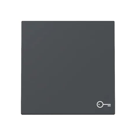 Gira Wippe Symb. Tür System 55 Anthrazit [328728], 3287 28