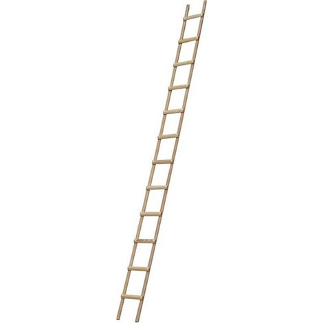 Echelle de toit en bois - Ecartement des barreaux 33cm - Longueur 6.00m - B3160039