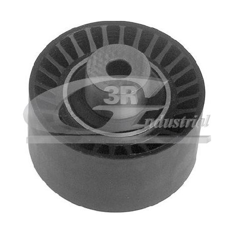 3RG 13244 RODILLO TENSOR