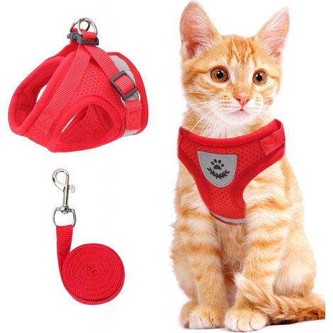 Harnais d'été rouge pour petit chien avec laisse réfléchissante, gilet pour petit chien (1/5)