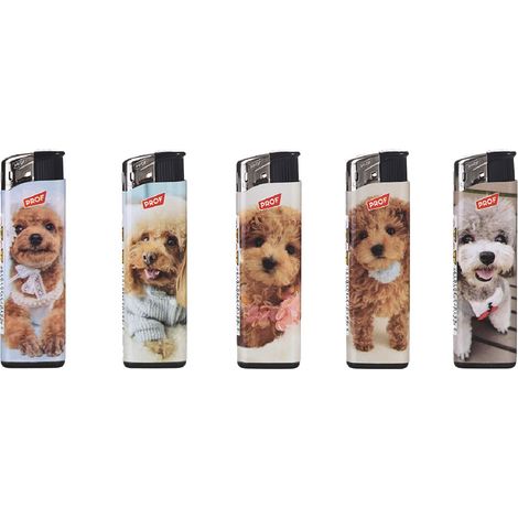 50PZ ACCENDINO 'Poodles'