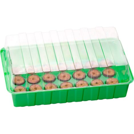 Romberg CLASSIC Anzuchthaus M PLUS COCO Grün 36 x 13 cm & 28 Kokos-Quelltabletten (1/4)