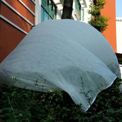 Frost- und Insektenschutz für Pflanzen – Vliesabdeckung für den Gartenbau (1/3)