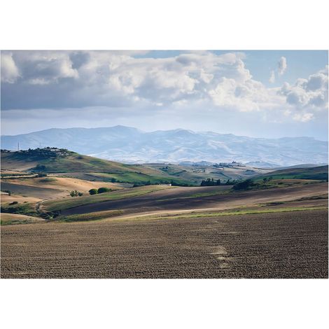 Papier peint mural paysage champ nature intissé grand format design intérieur salon chambre pas cher 150x105 cm (1/5)