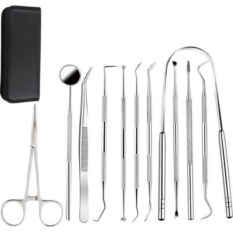 Ensemble d'outils dentaires en acier inoxydable, 11 pièces
