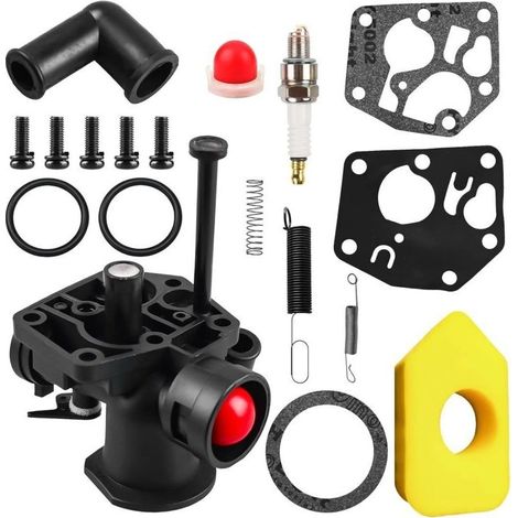 Kit carburateur pour tondeuse à gazon Briggs & Stratton 499809 498809A 494406 et filtre à air 698369 Ressort de régulateur 691859 692211 Membrane 795083 495770 (1/5)