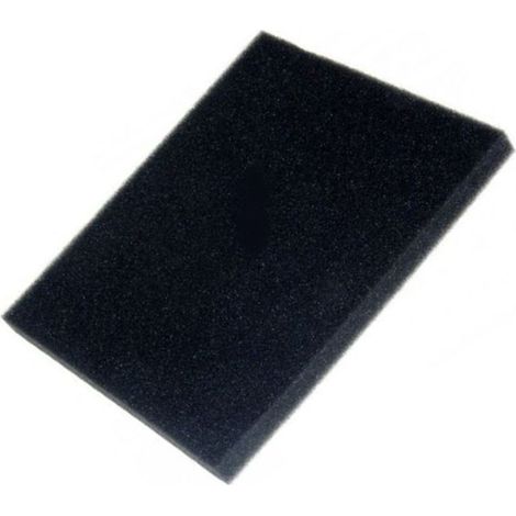 Filtro spugna - Aspirapolvere - PHILIPS - 3179633663946695067