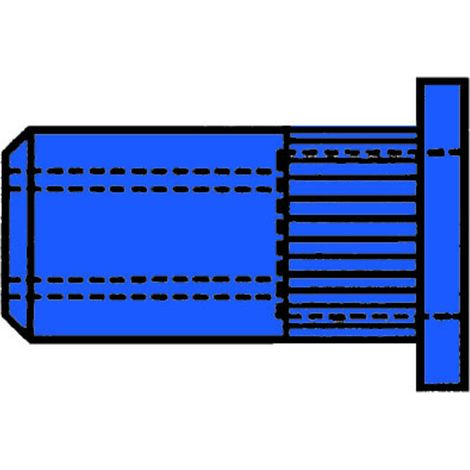 Gesipa Blindnietmuttern Stahl-gerändelt M 8 x 11 x 17 100 Stk (1/2)