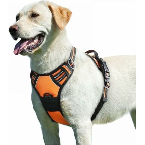 Oranges Hundegeschirr, verstellbar, reflektierend, gegen Ablenkung, leicht zu tragen, mit Kontrollgriff, atmungsaktives Hundegeschirr für mittelgroße und große Hunde (XL) FLITI (1/4)