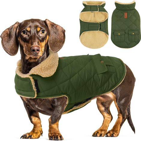 Manteau d'hiver imperméable et rembourré en polaire pour chien veste chaude pour petits et moyens chiens (1/5)