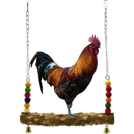 balançoire en bois pour animaux, jouet de stand de poulet, jouets de poulet balançoire Poulailler Accessoires Perruche Balançoire Perche jouets pour oiseaux Grand perroquet Ara Poules (1/5)
