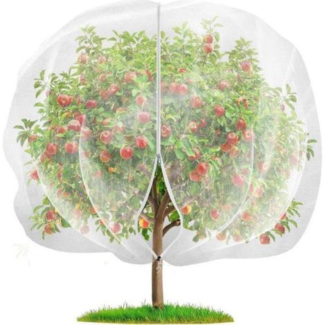 Filet de jardin en maille pour plantes, arbres fruitiers, cage à fruits, filet de protection contre (1/4)