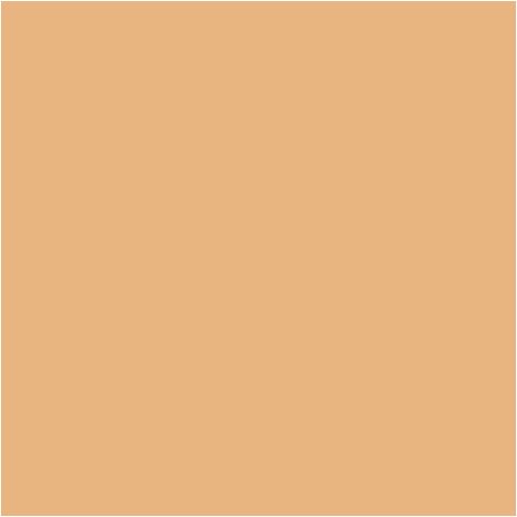 Carrelage sol / mur uni beige 20x20 cm VODEVIL BEIGE (vendu par boite de 1m2) (1/2)