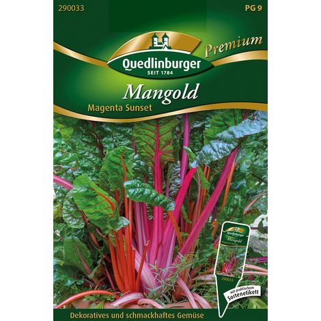 Quedlinburger Saatgut – Bette Magenta Sunset – Graines de légumes, tiges rose-rouge et feuilles vertes, hauteur env. 50 cm (1/2)